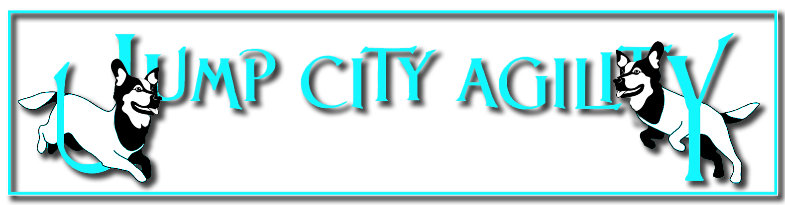 Jump city Agility Banner